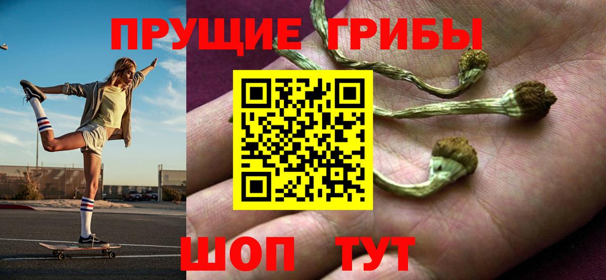 Галлюциногенные грибы ЛСД Кузнецк